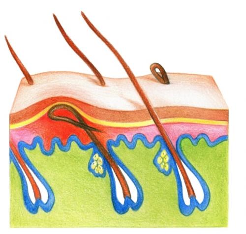 Чтобы никакого раздражения и врастания. Предпосылки и зона риска 02 Чтобы никакого раздражения и врастания. Предпосылки и зона риска 02