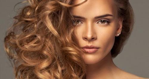 Цвет Ольха на темные волосы. Цвет волос Ольха – фото до и после, кому идет, палитра оттенков от Garnier