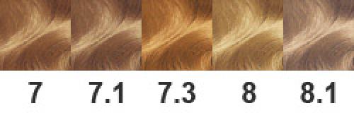 Гарньер ольха и песчаный берег. Палитра красок Гарньер по номерам с примерами и фото