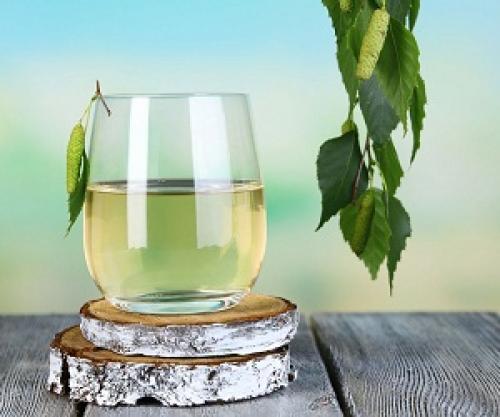 Какие маски из березы подходят для сухих волос. Секреты и правила применения