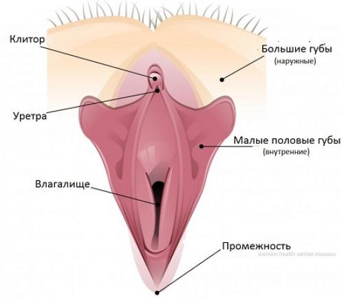 Как убрать волосы с половых губ. Как надолго избавиться от волос при помощи лазера. Общая информация 07