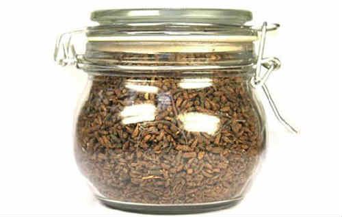 Какие активные компоненты в березовых почках полезны для волос. Березовые почки — полезные свойства и противопоказания, как принимать