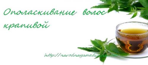 Возможно ли хранить приготовленный отвар для волос и сколько. Отвар крапивы для ополаскивания волос. Рецепт. Мой отзыв.