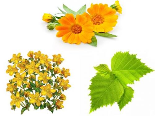 Натуральные отвары для здоровья волос: как правильно использовать растения для ополаскивания 06 Натуральные отвары для здоровья волос: как правильно использовать растения для ополаскивания 06