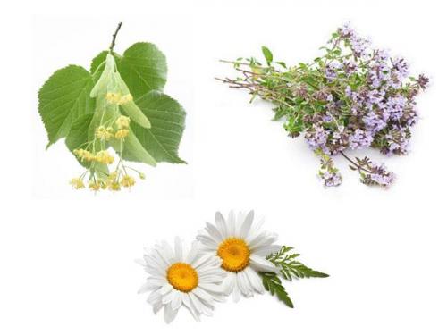 Натуральные отвары для здоровья волос: как правильно использовать растения для ополаскивания 04 Натуральные отвары для здоровья волос: как правильно использовать растения для ополаскивания 04