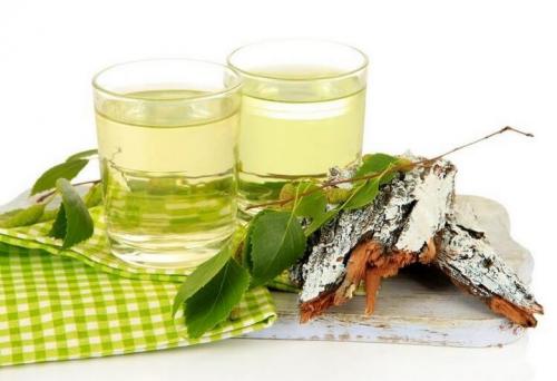 Какие полезные свойства березовых почек для волос известны. Состав и лечебные свойства березовых почек