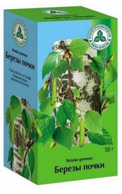 Березовые почки для волос. Лечебные свойства и рецепты лечения