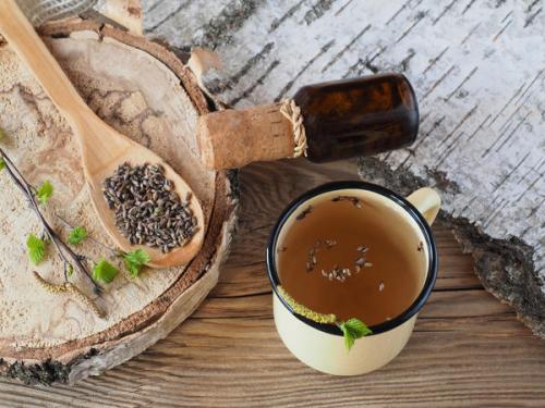 Как правильно собирать и заготавливать березовые ЛИСТЬЯ и почки для медицинских целей. Почки березы: лечебные свойства и правила заготовки