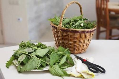 Крапива для волос ускорит рост в 2 раза и остановит.. Ополаскивание волос крапивой