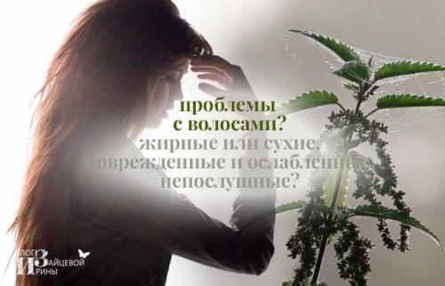 Как крапива способствует ускорению роста волос. Польза крапивы для волос