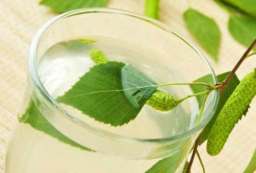 Как часто можно применять березовые почки для волос. Применение для волос