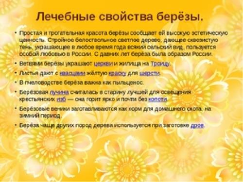 Как сделать отвар из листьев березы для волос: простая инструкция 01