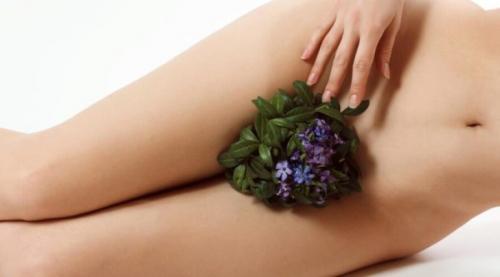 Почему нельзя брить зону бикини. Нужно ли женщине брить зону бикини?