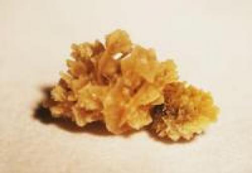 Есть ли противопоказания для использования листьев березы в косметических целях. Что ценного и от чего помогают