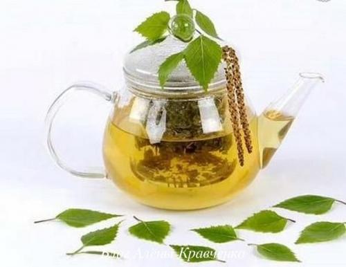 Листья березы для волос: полезные свойства и простые рецепты 16