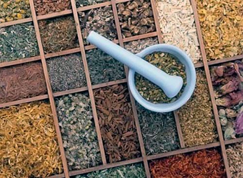 Эффективные травы для предотвращения выпадения волос: натуральные средства для здоровья волос 02