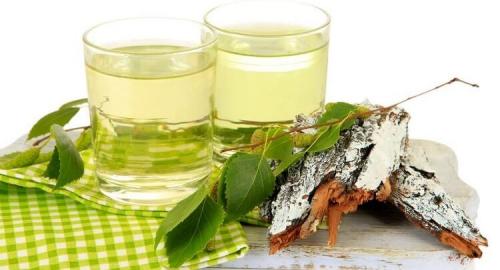 Какие полезные свойства имеет отвар березы для волос. Рецепты с молодыми березовыми листьями в народной медицине