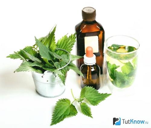 Крапива для роста волос: как использовать и какие есть преимущества 01