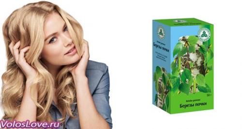 Как березовая вода влияет на здоровье и внешний вид волос. Листья берёзы для волос – отвар, настой, ополаскивание и маски