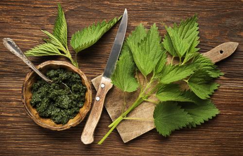 Как именно крапива способствует росту волос. Полезные свойства крапивы