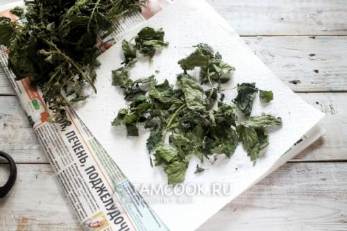 Крапива для роста волос: как использовать и какие есть преимущества 09