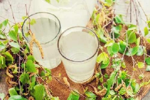 Какие способы применения березовой воды для волос самые эффективные. Березовый сок для лица и волос свойства и применение