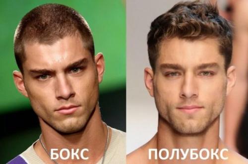 Как подстричься самому машинкой полубокс. Модная мужская стрижка полубокс в 2022 году – техника выполнения пошагово и варианты укладки