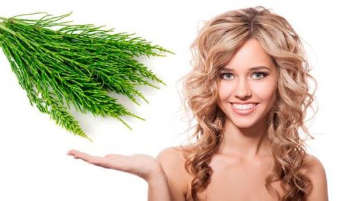 Ополаскивание отваром листьев березы: полезные свойства и простые рецепты 08