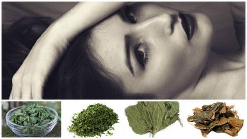 Ополаскивание отваром листьев березы: полезные свойства и простые рецепты 03