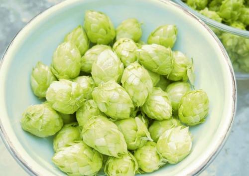 Ополаскивание отваром листьев березы: полезные свойства и простые рецепты 09