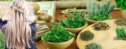 Ополаскивание отваром листьев березы: полезные свойства и простые рецепты 01