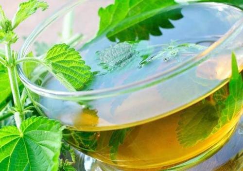 Есть ли противопоказания для использования трав на волосах. Отвары трав для волос от выпадения