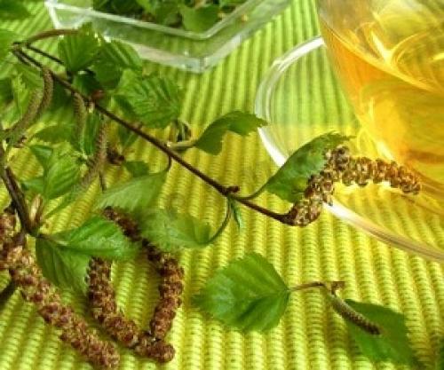 Как применять березовые почки для волос. Секреты и правила применения