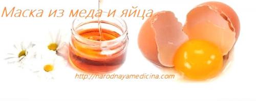 Какие полезные свойства меда и яйца для волос. Маска для волос из меда и яйца