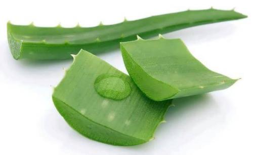 Какие отзывы о маске из меда и яйца для волос. Рецепты медово-яичных масок – попадание в десятку!