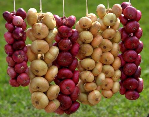 Как часто рекомендуется применять луковую маску. Самые эффективные луковые маски для волос