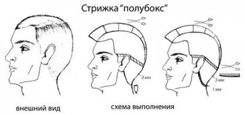 Прически для тонких волос мужские. Короткие стрижки для редеющих волос