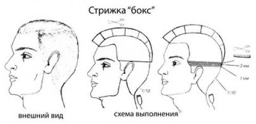 Прически для тонких волос мужские. Короткие стрижки для редеющих волос