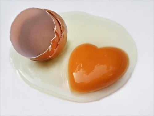 Сколько времени нужно держать маску из яйца и мёда на волосах. Польза яичного желтка