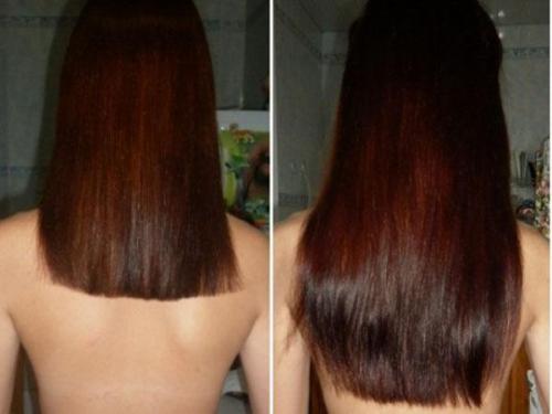 Медовая маска от выпадения волос: натуральное решение для здоровья волос 04 Медовая маска от выпадения волос: натуральное решение для здоровья волос 04