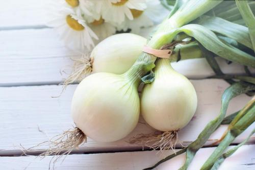 Луковая маска для волос: как приготовить и применять правильно 05 Луковая маска для волос: как приготовить и применять правильно 05