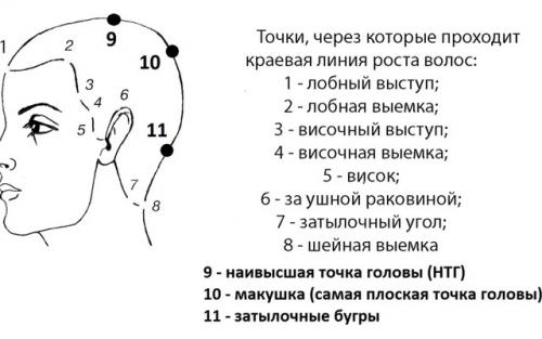 Проборы и зоны на голове при стрижке. Линии роста волос