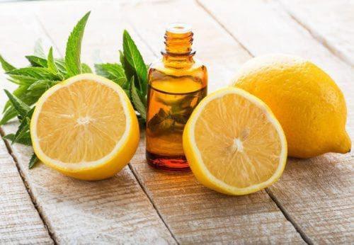 Маски для секущихся волос в домашних условиях. Маска для волос от секущихся кончиков в домашних условиях