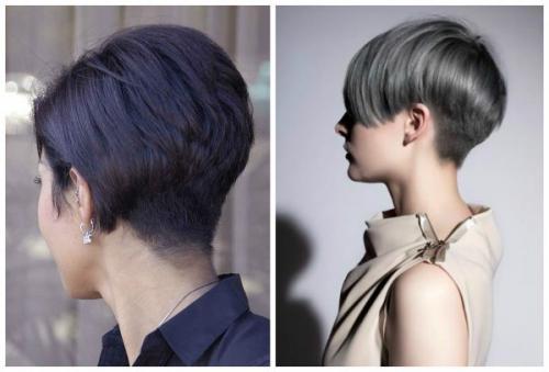 Как подстричь короткие волосы сзади. Стрижки с коротким затылком: фото