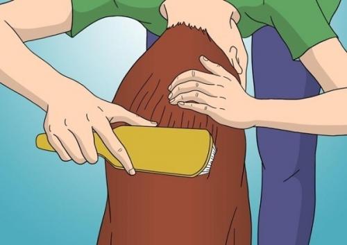 Как подстричь волосы дома женщине. Как ровно самостоятельно подстричь волосы. Пошаговая инструкция в домашних условиях