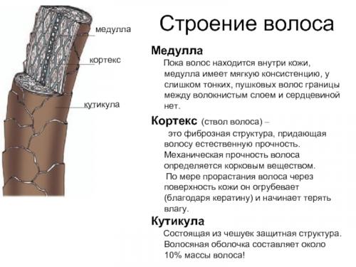 Домашняя маска для пушистых волос. Как избавиться от пуха на голове раз и навсегда