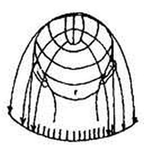 Стрижки с пошаговым обучением. Видео классической мужской стрижки ножницами - 2020 08 Стрижки с пошаговым обучением. Видео классической мужской стрижки ножницами - 2020 08