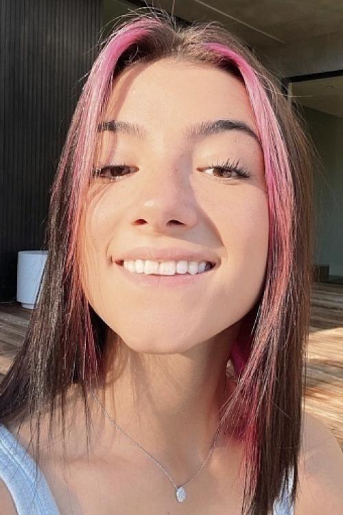 Цветные пряди на темных волосах. Как сделать цветные пряди? 02