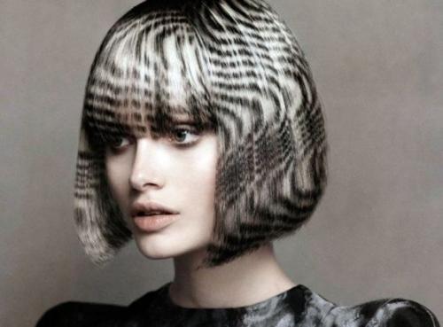 Колористика волос в домашних условиях. Колористика волос (51 фото) – сложная и интересная наука