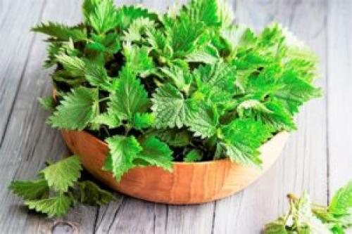 Можно ли мыть голову мылом. Можно ли мыть волосы мылом? Какие последствия этого